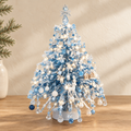 Sapin de Perles — Givré